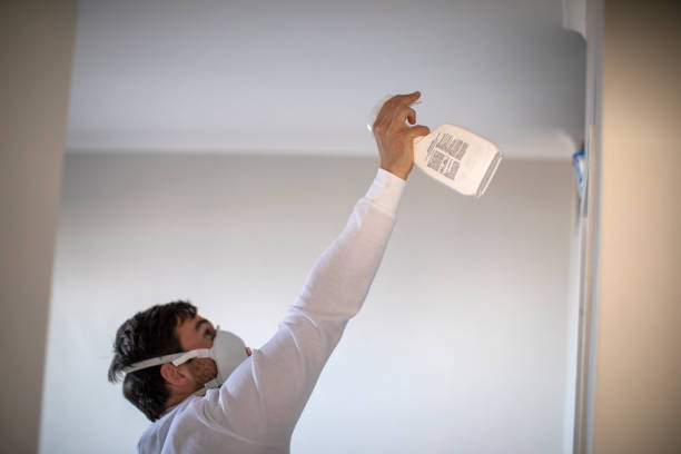 Best Crawl Space Mold Removal  in Leetonia, OH