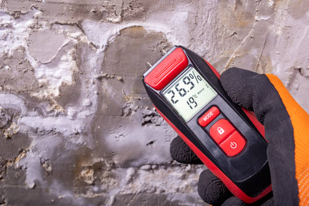 Best Attic Mold Removal  in Leetonia, OH