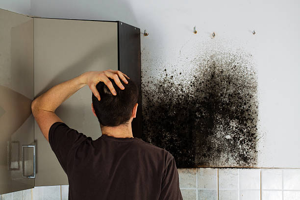 Best Commercial Mold Removal  in Leetonia, OH